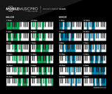 Essentials MIDI Pack 01 - Scales & Chords